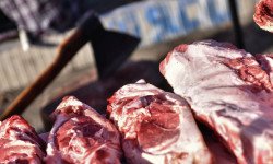 Кыргызстанда адал эт паркын ачуу пландалууда