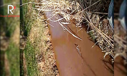 Элдик репортер: Ылай сууну туундуруп ичкен Боз-Чычкан айылынын тургундары 