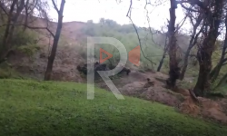 Элдик репортер: Кара-Инген айылында жер көчкү коркунучу турат