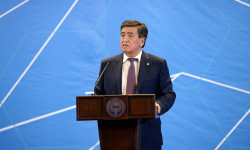 Президент паспорт тендери боюнча пикирин билдирди