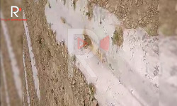 Элдик репортер: Суу жок куурап жаткан Ак-Суунун дарбыздары