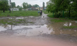 Элдик репортер: Көлмө конушундагы жолдор көлчүккө батып калды