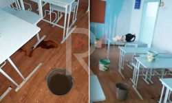 Элдик репортер: Токмок шаарындагы №12 мектептин ичинен тамчы өтүп жатат