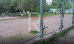 Элдик репортер: Манас айлындагы башталгыч мектептин абалы