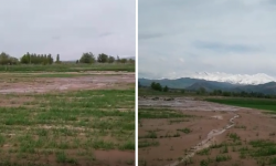 Элдик репортер: Рот-Фронт айылындагы айдоо аянттарын сел жууп кетти...