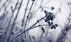 Шашылыш билдирүү: 5-6-майда түнкүсүн үшүк жүрөт