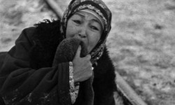  Улуу Жеңиш күнүнө карата "Эрте келген турналар", "Саманчынын жолу" тасмалары көрсөтүлөт