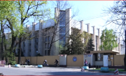 УКМК: баңгизат жасаган жаран кармалды