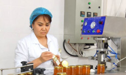 Экспорттун эбин тапкан ишкерлер 