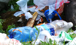 Эс алуучулардын маданияты качан өнүгөт?  