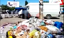 Элдик репортер: Кара-Балтада таштанды таштаган урна жок, таштандылар үйүлүүдө