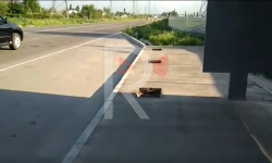 Элдик репортер: Ак-Ордодогу аялдамаларда  темир торчолор уурдалууда 