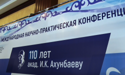 Жүрөк-кан тамыр ооруларынын алдын алуу багытында дарыгерлердин жыйыны өттү