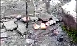 Элдик репортер: Таза сууга чаңкаган Соснова айылынын тургундары