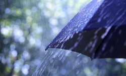 Нөшөрлөп жааган жамгыр Ошту суусуз калтырды