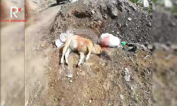 Ат-Башыдагы таштанды төгүүчү жай элге ыңгайсыздык жаратууда