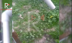 Жапалак айылында таза суу чыкпай, арыктан суу ичишүүдө