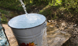 Өлкө башчысынын катышуусунда «Аймактар үчүн Таза суу» форуму өтөт 