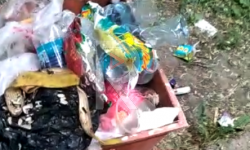 Кара-Балта шаарындагы таштанды чыгарылбаган бакча 