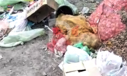 Өзгөн району: "Таза-Суу" ишканасынын аймагындагы антисанитардык абал 