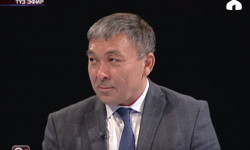 Баш калаа жашылдандырууга муктаж