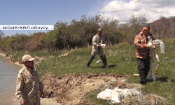 Керемет көлдүн байлыгын сактайлы 