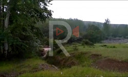 Сары-Талаа айылындагы өкмөттүн жерин басып алган ким?