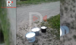 Каптал-Арык айылында сүттүн баасы 2 сомго жогорулап кетти