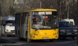 Тынчтык конушу: Автобустун айдоочулары иш таштоодо