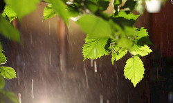 Июнь айынын башында өлкөдө аба-ырайы туруксуз болот 