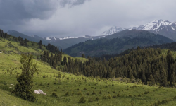 Шашылыш билдирүү: 5-июнга чейин туруксуз аба-ырайы күтүлөт 