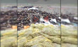 Тегереги таштандыга толгон "Орто-Токой" суу сактагычы