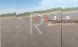 Жийде айылы: көпүрө жок, малдарга кыйын болууда