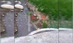 Сугатка берилген суудан ичкен Арал айылы