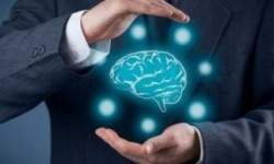 Интеллектуалдык менчик жана инновацияларды өнүктүрүүдөгү багыттар