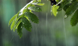 Шашылыш билдирүү: 15-16-июнда туруксуз аба ырайы күтүлөт