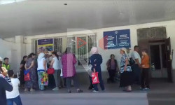 Сокулук: чечилбеген жер маселеси 8 жылдан бери элди кыйнап келет