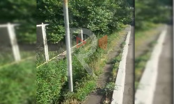 Жукеев-Пудовкин көчөсүндө жөө жүргүнчүлөр үчүн тротуар жок