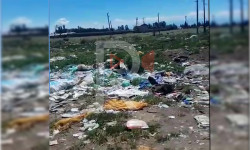 Жаркынбаев айылын каптаган таштанды