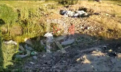 Бакыян: жайыт жер таштанды төгүүчү жайга айланды