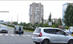 Айдоочулук күбөлүк берүү мөөнөтүн узартуу сунушталууда 