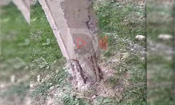 Баткен: электр түркүгү куласа ким жооп берет?