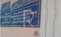 Эмне үчүн дарыгерлер көрсөтүлгөн тартипте иштешпейт?