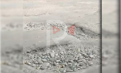 Бишкек: тамтыгы чыккан жол