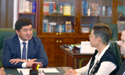 Өкмөт башчы БУУнун Балдар фондунун Кыргызстандагы өкүлү Юкиэ Мокуо менен жолугушту 