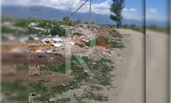 Түп: айылдын чети таштандыга толуп кетти