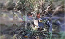 Беш-Күнгөй: арыкка ташталган таштандылар