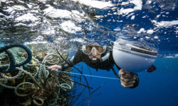 Тынч океандан 40 тонна таштанды чыгарылды 