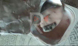 Йогурттун ичинен курт чыкты