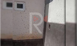 Арпа-Тектир: малак курттар айлабызды кетирди